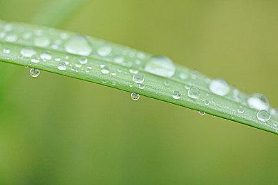 《幽灵行者》DLC宣布跳票 发布时间将推迟至3月3日